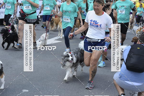 Buy your photos of the event2 Pet Run Shopping Eldorado  on Fotop