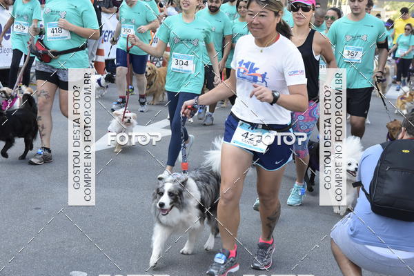 Buy your photos of the event2 Pet Run Shopping Eldorado  on Fotop