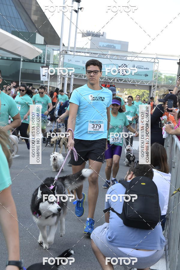 Buy your photos of the event2 Pet Run Shopping Eldorado  on Fotop