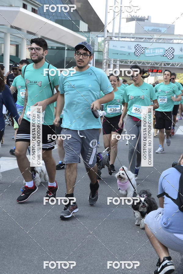 Buy your photos of the event2 Pet Run Shopping Eldorado  on Fotop