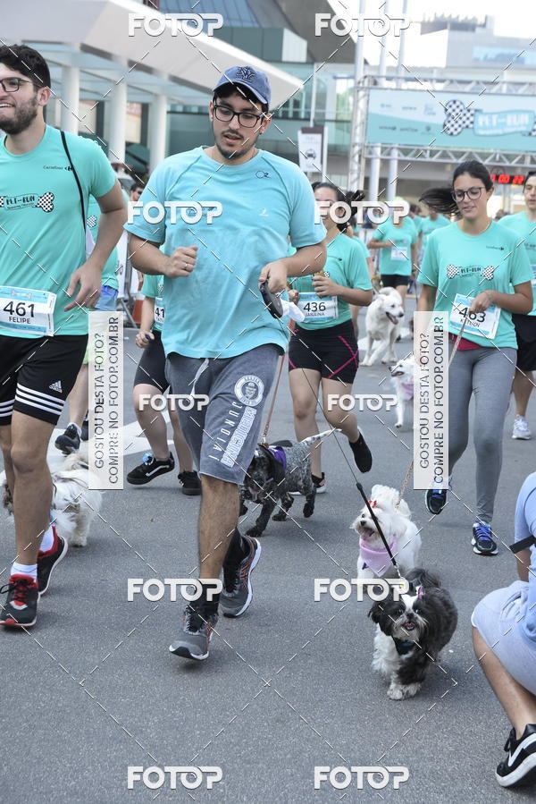 Buy your photos of the event2 Pet Run Shopping Eldorado  on Fotop