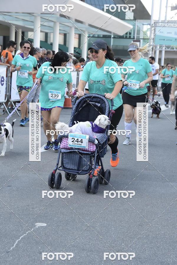 Buy your photos of the event2 Pet Run Shopping Eldorado  on Fotop