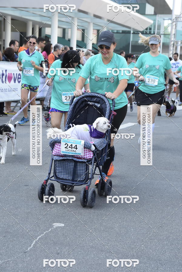 Buy your photos of the event2 Pet Run Shopping Eldorado  on Fotop