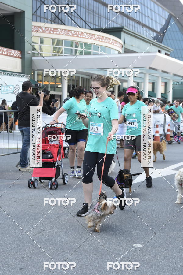 Buy your photos of the event2 Pet Run Shopping Eldorado  on Fotop