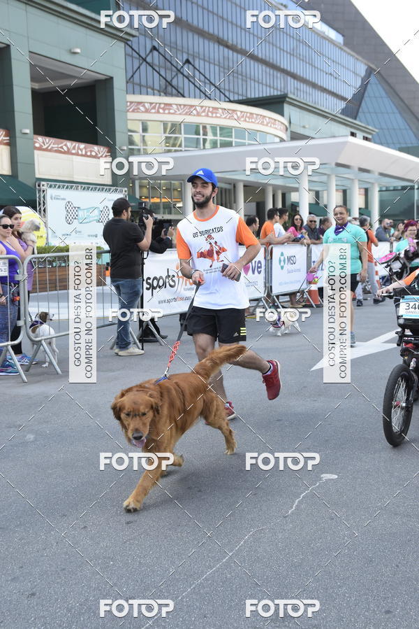 Compre suas fotos do evento2 Pet Run Shopping Eldorado  no Fotop