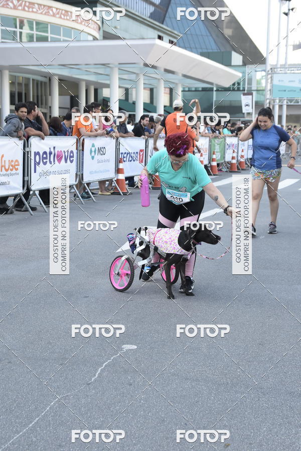 Compre suas fotos do evento2 Pet Run Shopping Eldorado  no Fotop