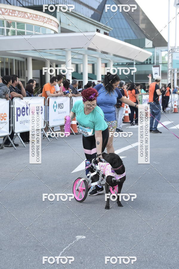 Compre suas fotos do evento2 Pet Run Shopping Eldorado  no Fotop