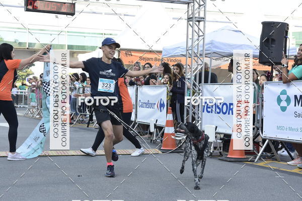 Acquista le foto dell'evento2 Pet Run Shopping Eldorado  in Fotop