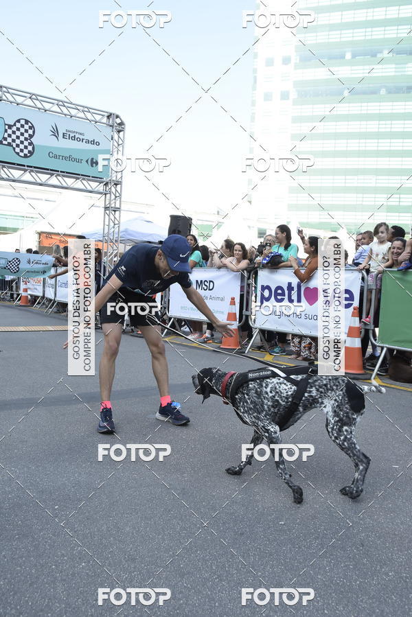 Acquista le foto dell'evento2 Pet Run Shopping Eldorado  in Fotop
