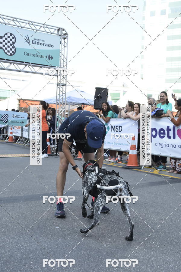 Acquista le foto dell'evento2 Pet Run Shopping Eldorado  in Fotop