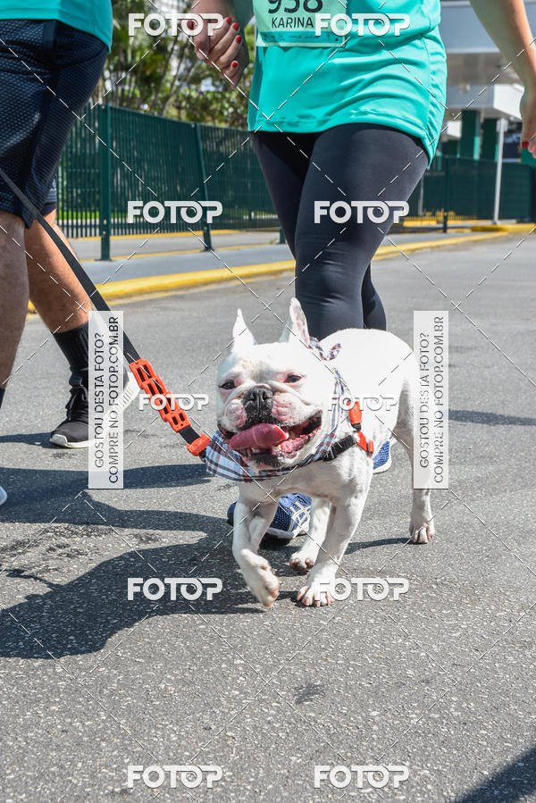 Buy your photos of the event2� Pet Run Shopping Eldorado  on Fotop