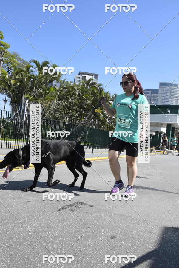 Buy your photos of the event2� Pet Run Shopping Eldorado  on Fotop