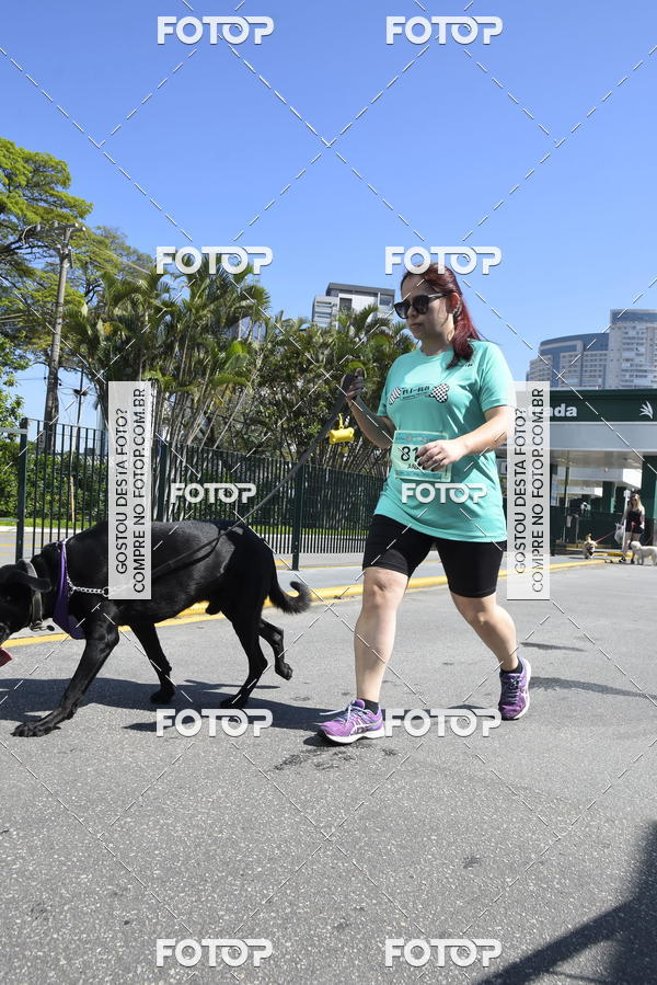 Buy your photos of the event2� Pet Run Shopping Eldorado  on Fotop