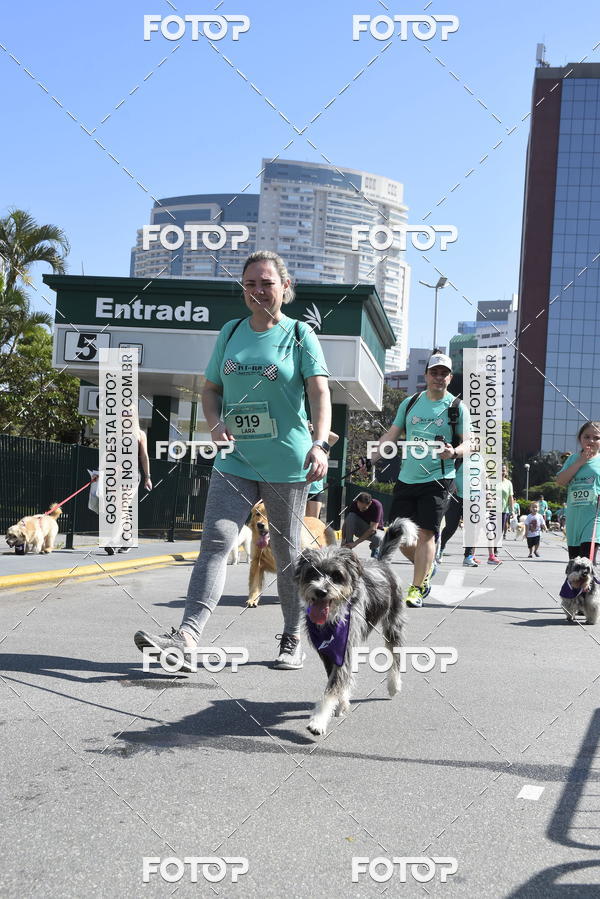 Buy your photos of the event2� Pet Run Shopping Eldorado  on Fotop