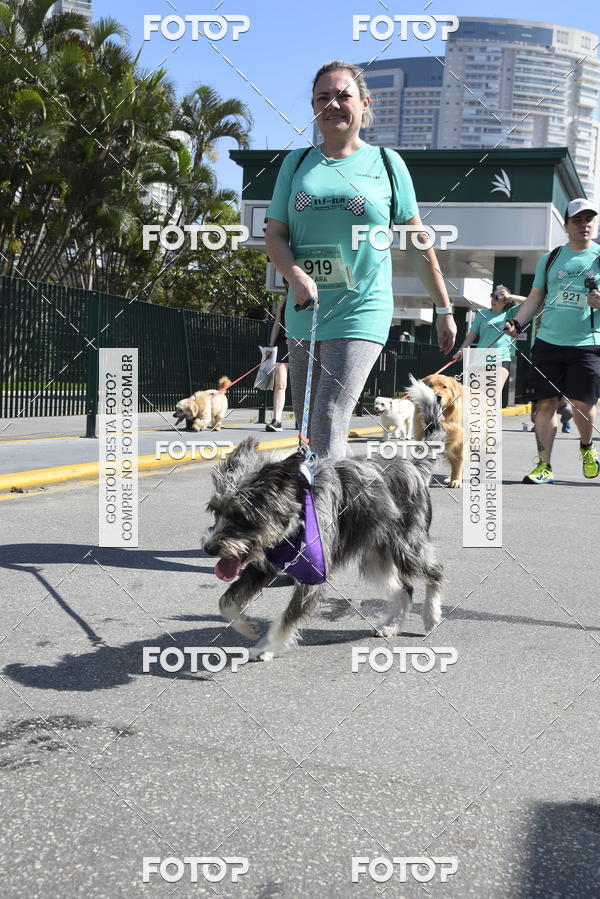 Buy your photos of the event2� Pet Run Shopping Eldorado  on Fotop