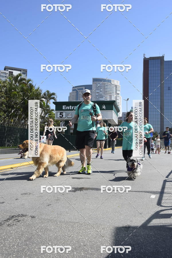 Buy your photos of the event2� Pet Run Shopping Eldorado  on Fotop