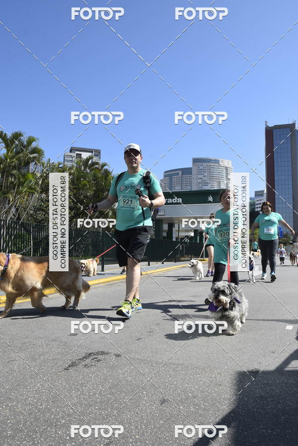 Buy your photos of the event2� Pet Run Shopping Eldorado  on Fotop