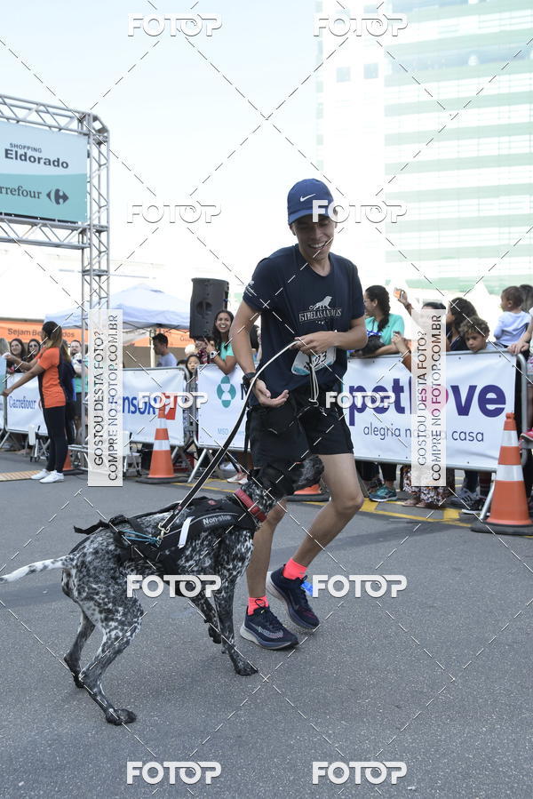 Acquista le foto dell'evento2 Pet Run Shopping Eldorado  in Fotop