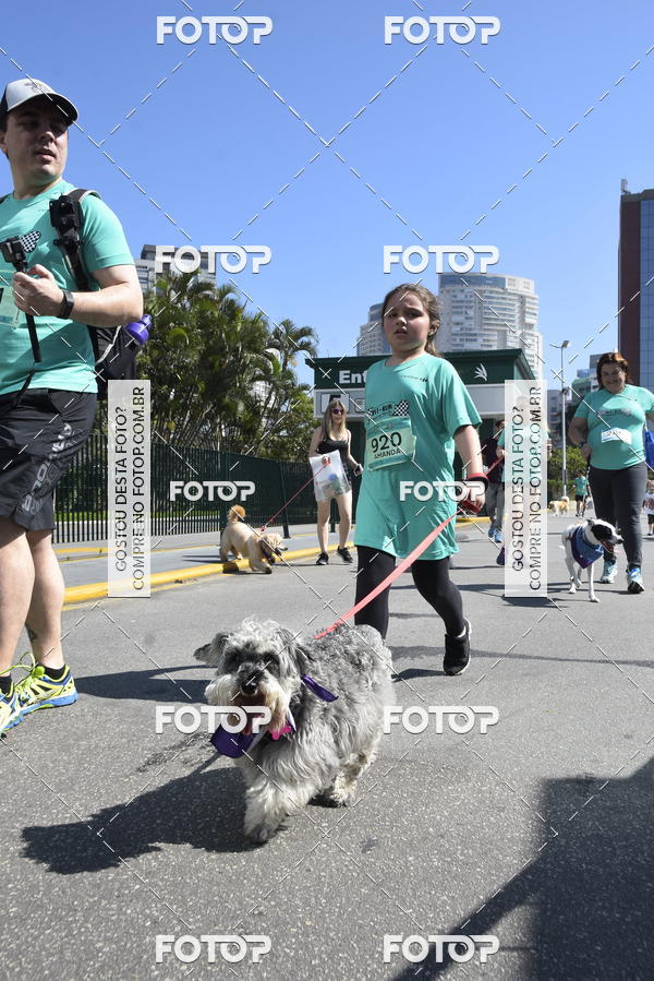 Buy your photos of the event2� Pet Run Shopping Eldorado  on Fotop