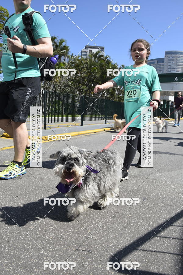 Buy your photos of the event2� Pet Run Shopping Eldorado  on Fotop