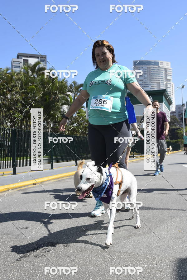 Buy your photos of the event2� Pet Run Shopping Eldorado  on Fotop