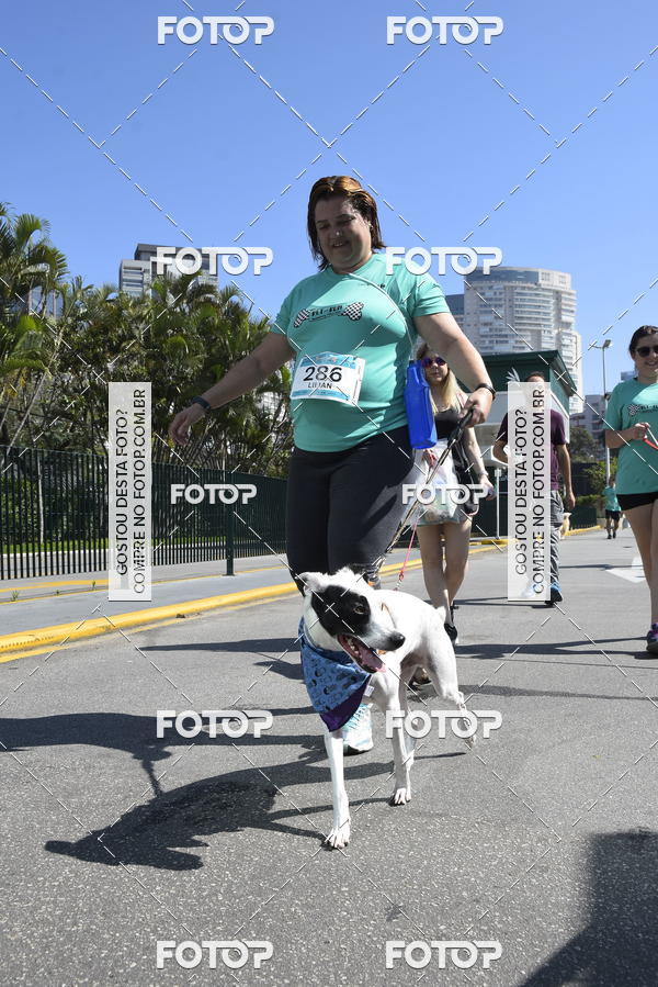 Buy your photos of the event2� Pet Run Shopping Eldorado  on Fotop