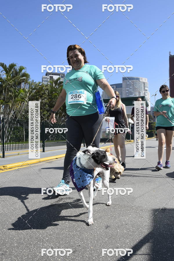 Buy your photos of the event2� Pet Run Shopping Eldorado  on Fotop