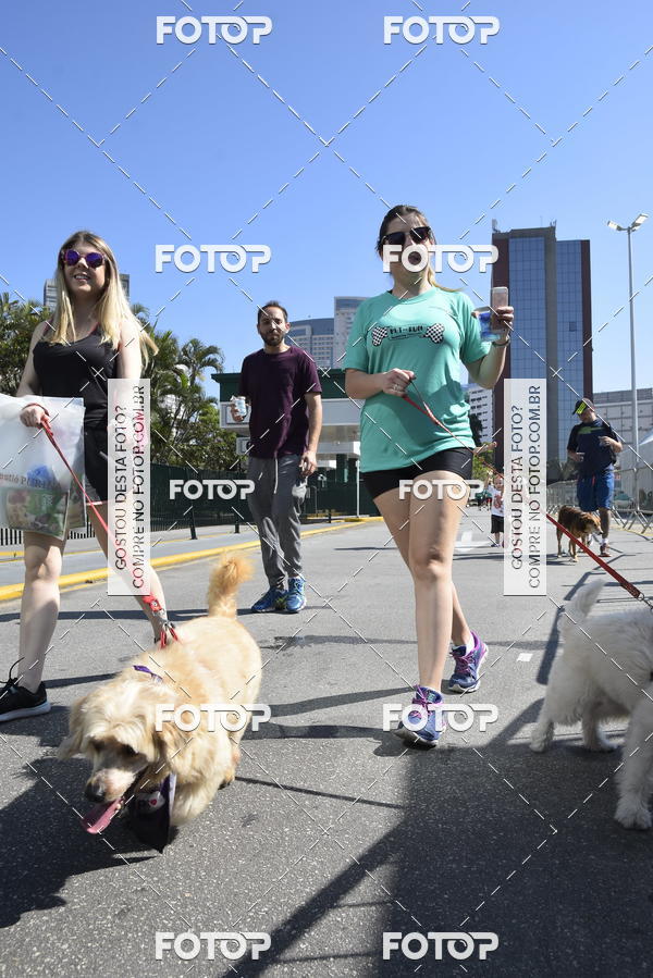 Buy your photos of the event2� Pet Run Shopping Eldorado  on Fotop