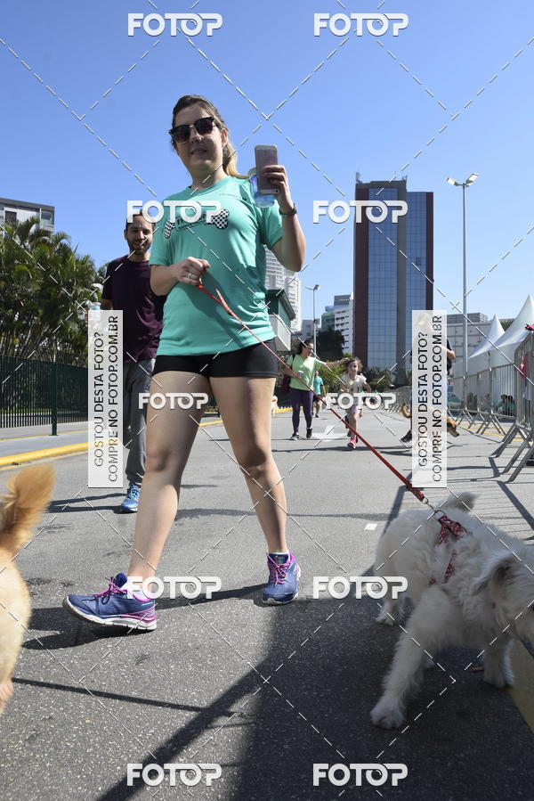 Buy your photos of the event2� Pet Run Shopping Eldorado  on Fotop