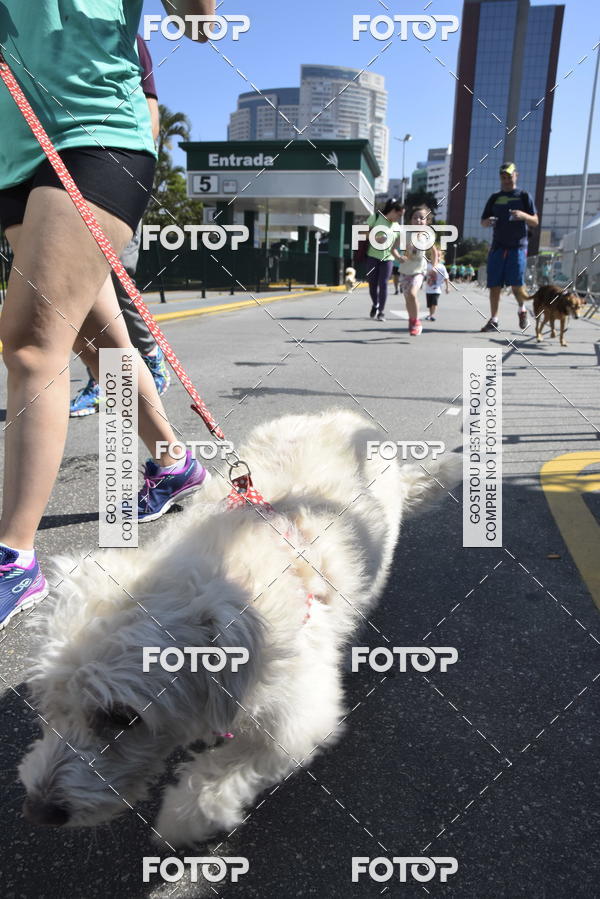 Buy your photos of the event2� Pet Run Shopping Eldorado  on Fotop
