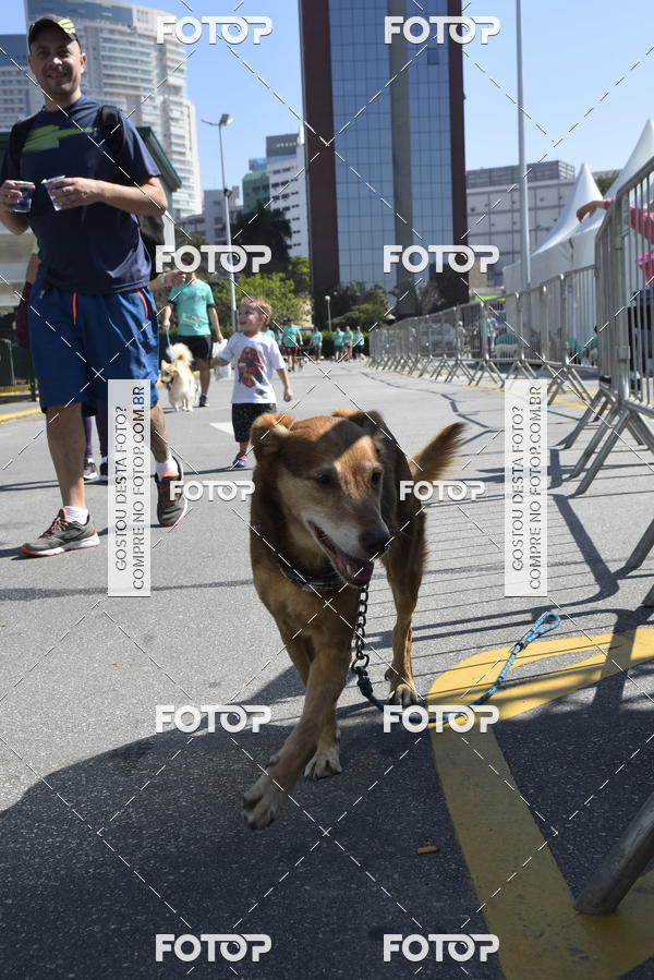 Buy your photos of the event2� Pet Run Shopping Eldorado  on Fotop