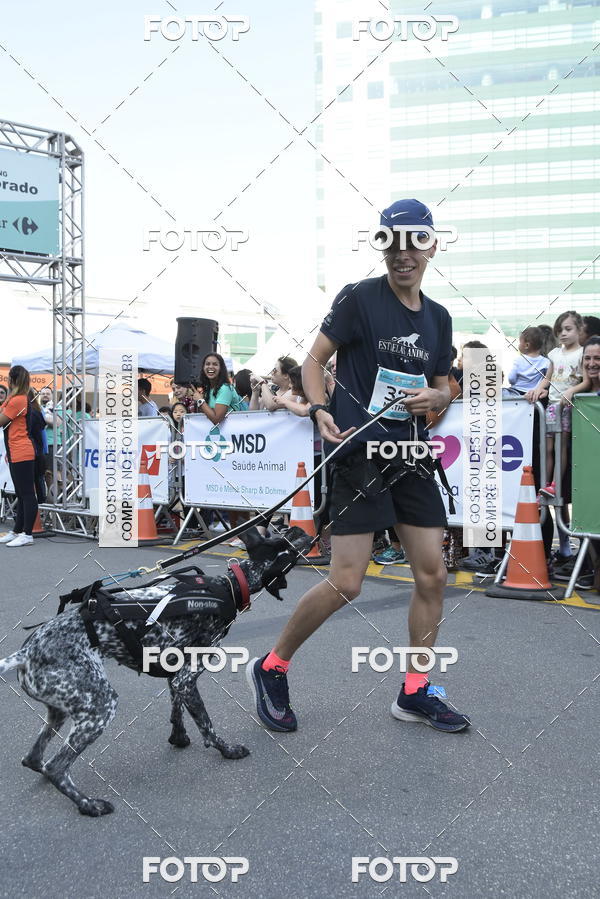 Acquista le foto dell'evento2 Pet Run Shopping Eldorado  in Fotop