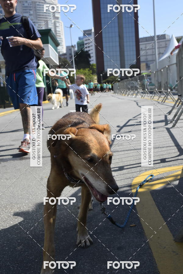 Buy your photos of the event2� Pet Run Shopping Eldorado  on Fotop