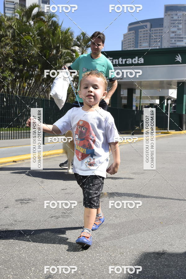 Buy your photos of the event2� Pet Run Shopping Eldorado  on Fotop