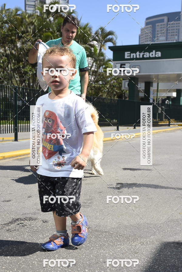 Buy your photos of the event2� Pet Run Shopping Eldorado  on Fotop