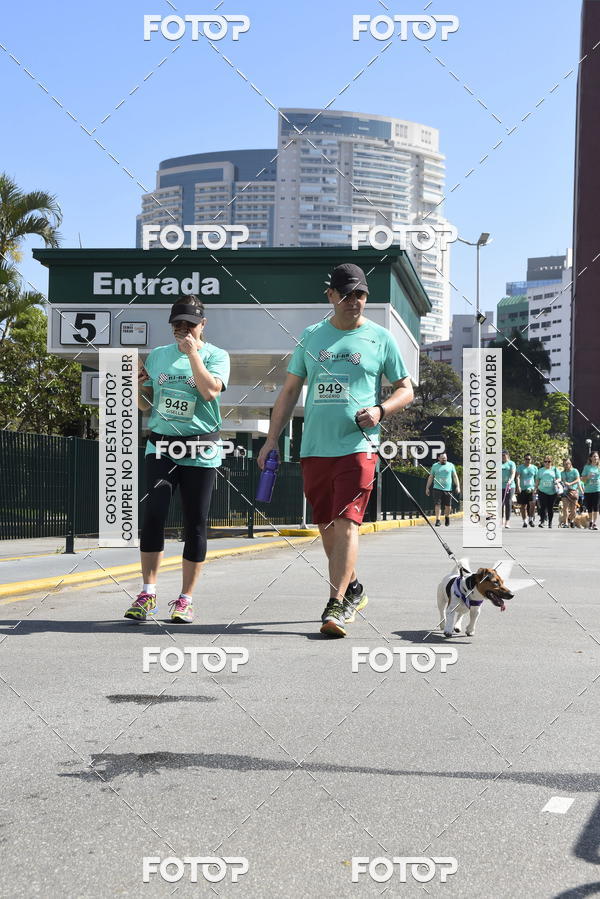 Buy your photos of the event2� Pet Run Shopping Eldorado  on Fotop