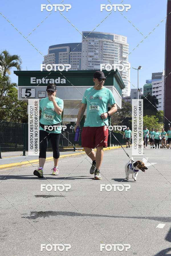 Buy your photos of the event2� Pet Run Shopping Eldorado  on Fotop
