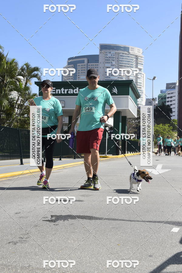 Buy your photos of the event2� Pet Run Shopping Eldorado  on Fotop