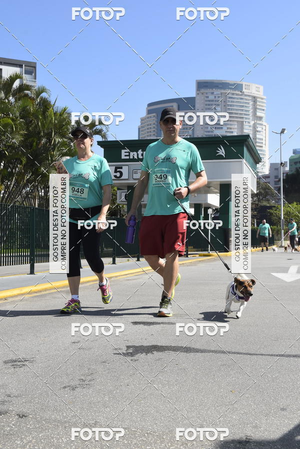 Buy your photos of the event2� Pet Run Shopping Eldorado  on Fotop