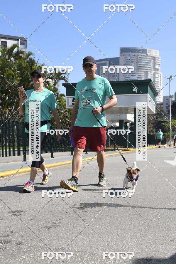 Buy your photos of the event2� Pet Run Shopping Eldorado  on Fotop