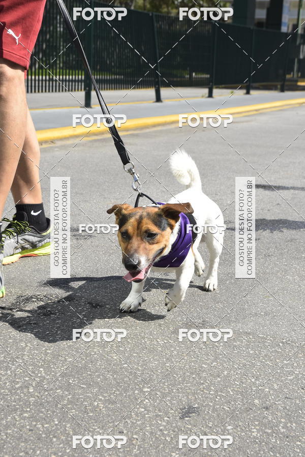 Buy your photos of the event2� Pet Run Shopping Eldorado  on Fotop