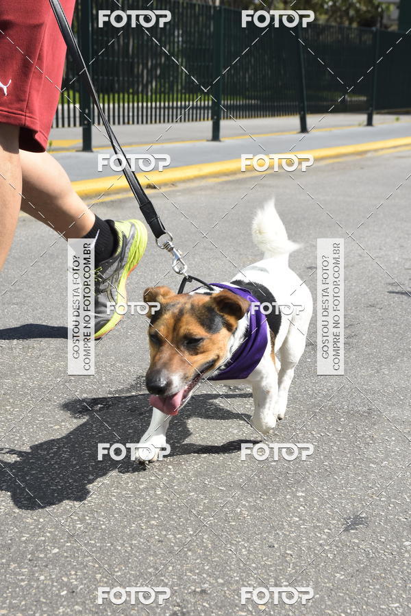 Buy your photos of the event2� Pet Run Shopping Eldorado  on Fotop