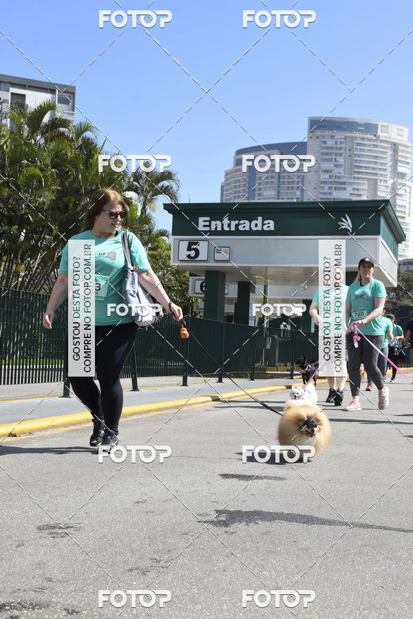 Buy your photos of the event2� Pet Run Shopping Eldorado  on Fotop