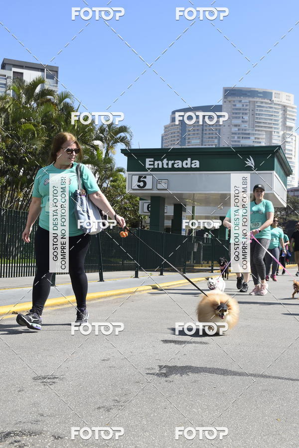 Buy your photos of the event2� Pet Run Shopping Eldorado  on Fotop