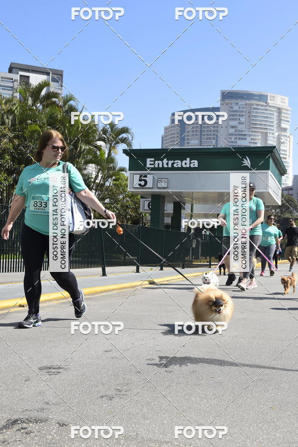 Buy your photos of the event2� Pet Run Shopping Eldorado  on Fotop
