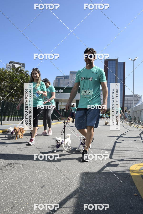 Buy your photos of the event2� Pet Run Shopping Eldorado  on Fotop