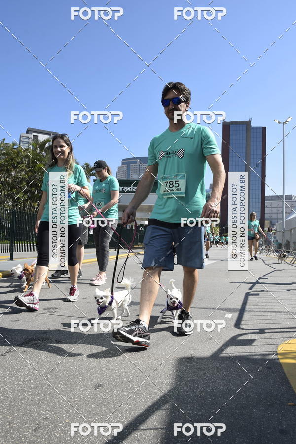 Buy your photos of the event2� Pet Run Shopping Eldorado  on Fotop