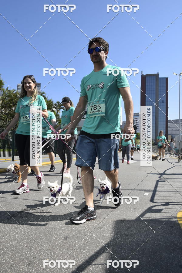 Buy your photos of the event2� Pet Run Shopping Eldorado  on Fotop