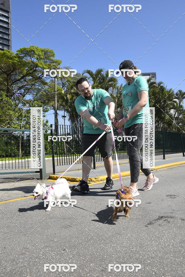 Buy your photos of the event2� Pet Run Shopping Eldorado  on Fotop