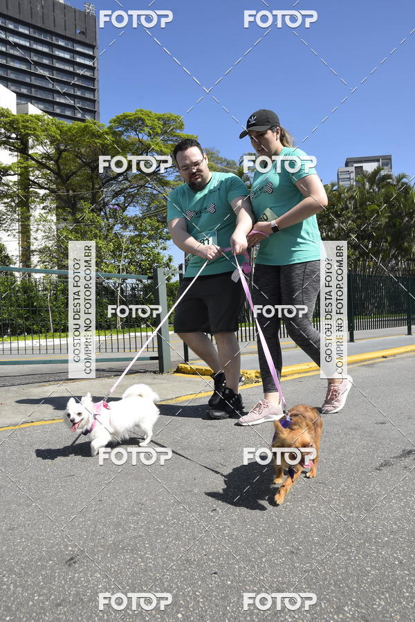 Buy your photos of the event2� Pet Run Shopping Eldorado  on Fotop